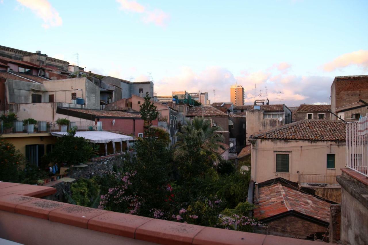 Ferienhaus Sake Family - Xl In The Heart Of The Catania