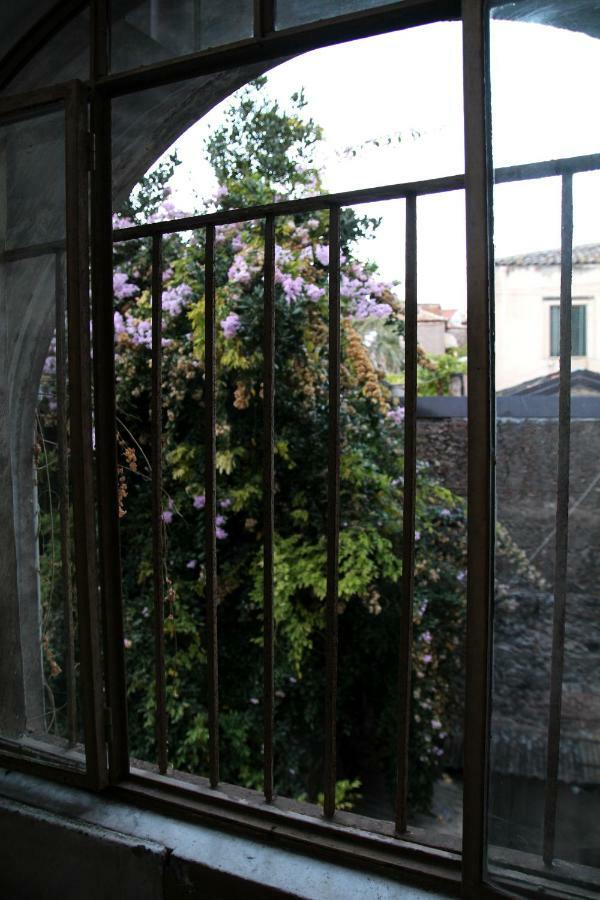 Ferienhaus Sake Family - Xl In The Heart Of The Catania