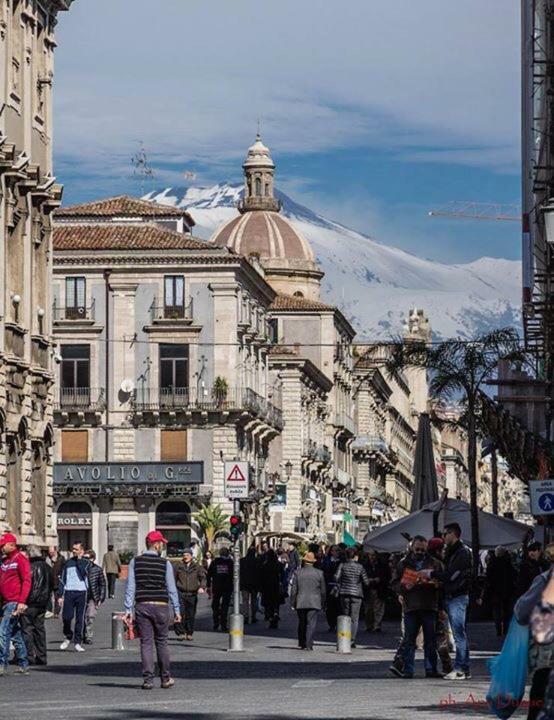 Ferienhaus Sake Family - Xl In The Heart Of The Catania